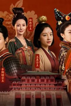 大唐公主传