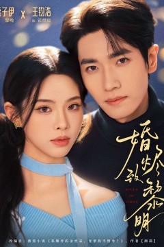 婚烬致黎明