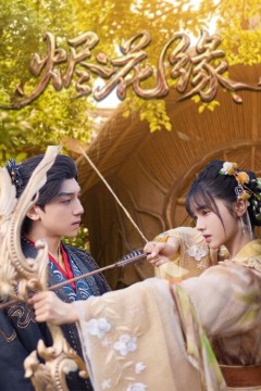 烬花缘