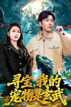 寻宝，我的宠物是玄武