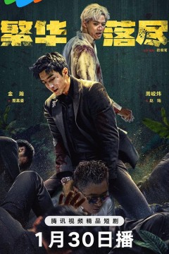 繁华落尽