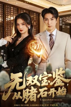 无双宝鉴，从赌石开始