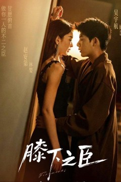 膝下之臣