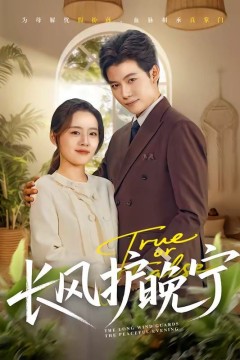 长风护晚宁