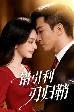 错引利刃归鞘