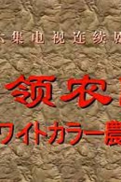 白领农民