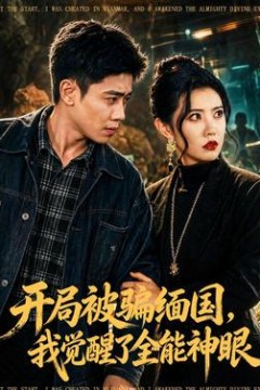 开局被骗缅国，我觉醒了全能神眼