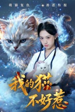 我的猫不好惹