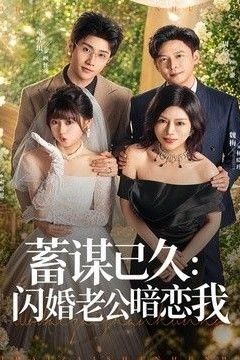 蓄谋已久：闪婚老公暗恋我(我带崽闪婚后怎么老妈也)