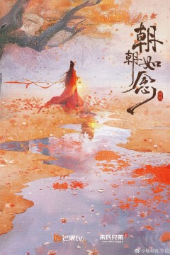 朝朝如念电影版